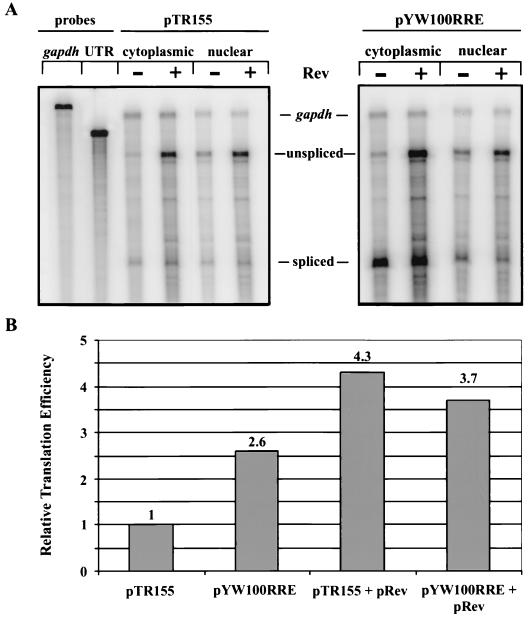 FIG. 6.