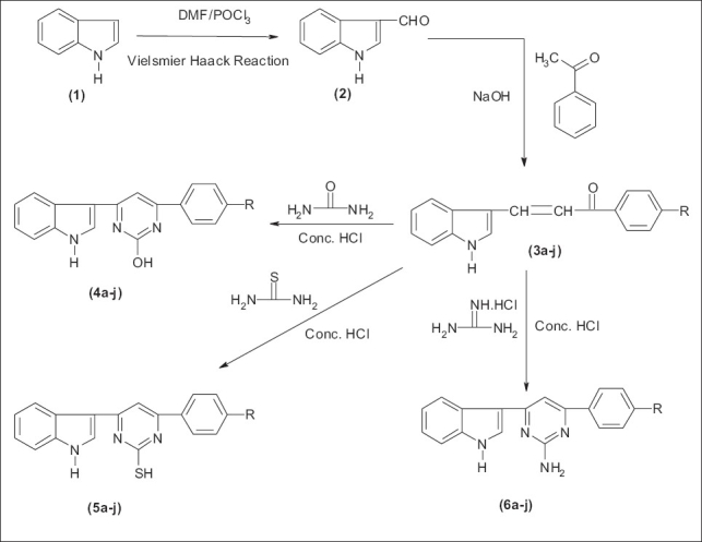 Scheme 1