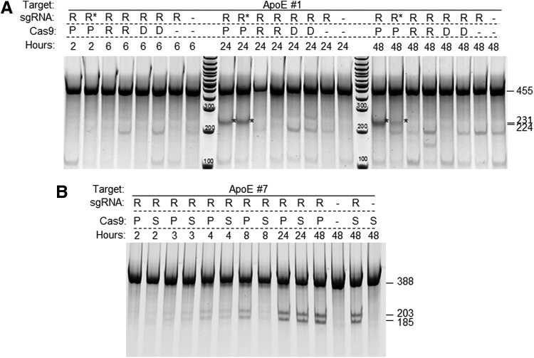 Figure 3.