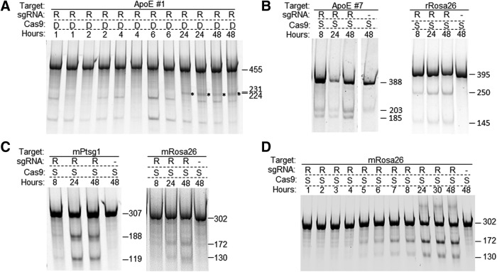 Figure 2.