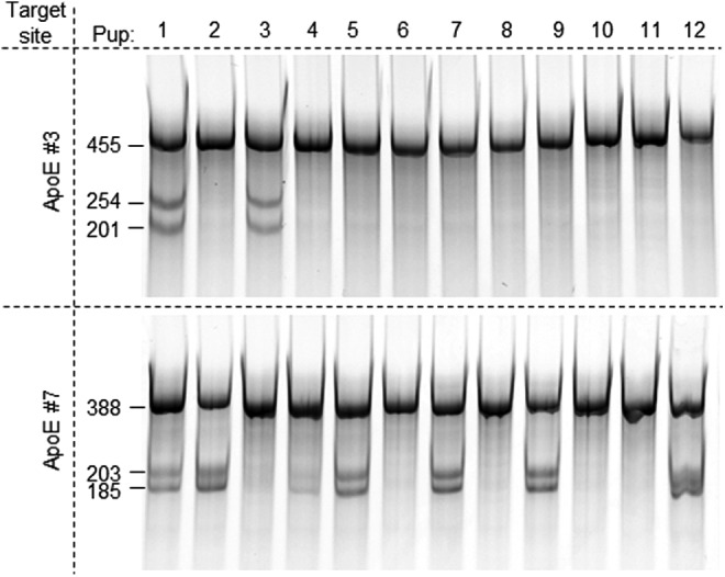 Figure 6.