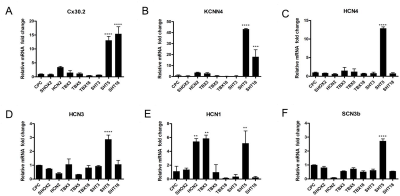 Figure-2: