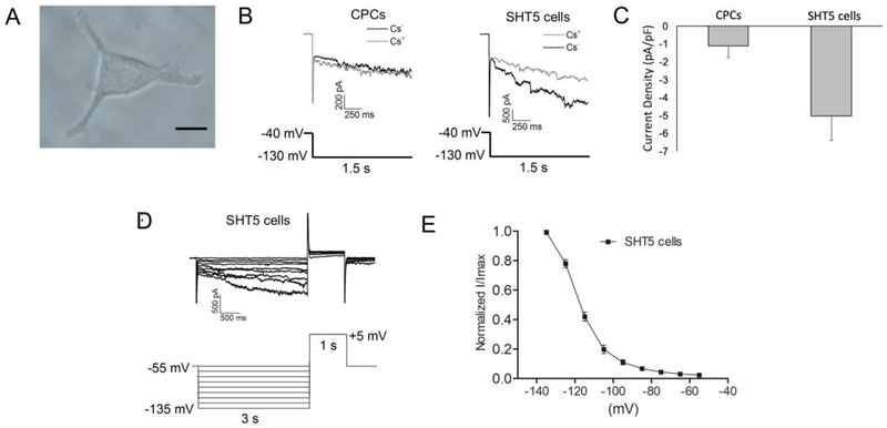 Figure-4: