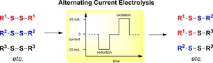 graphic file with name CHEM-26-3129-g017.jpg