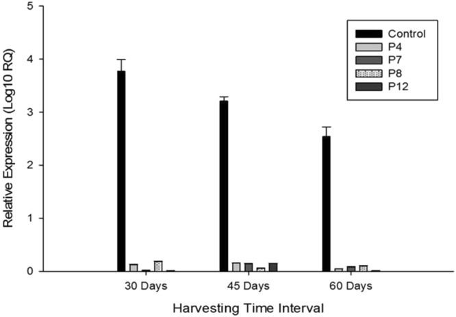 Figure 4