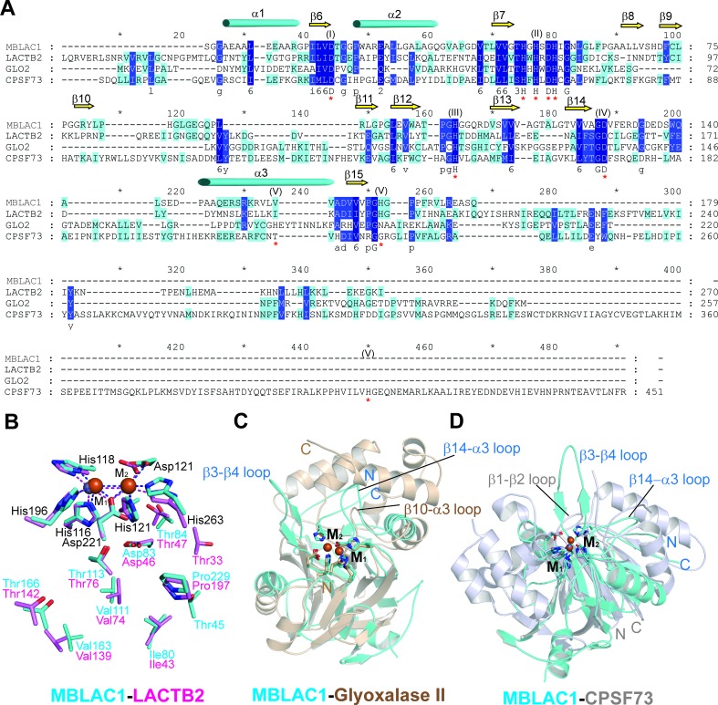 Figure 1—figure supplement 1.