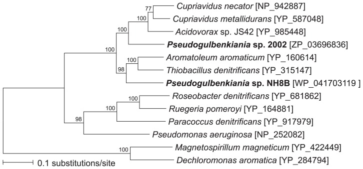 Fig. 3