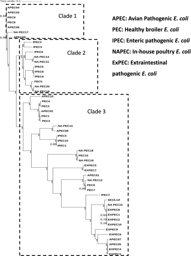 FIGURE 2