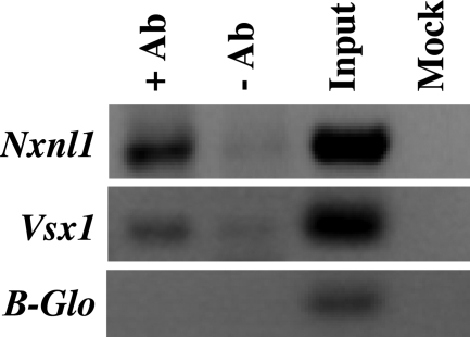 Figure 5.