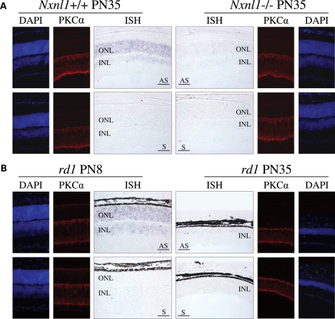 Figure 3.