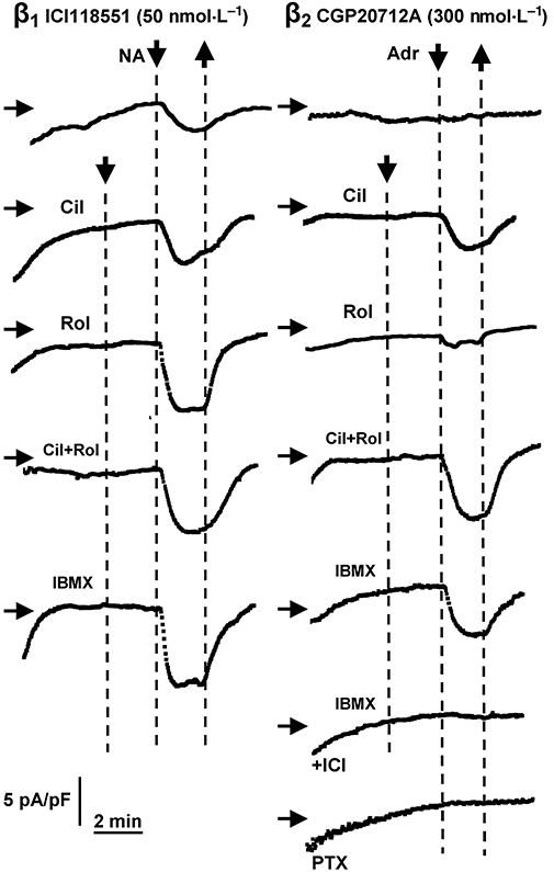 Figure 8