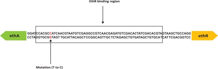 FIG 2