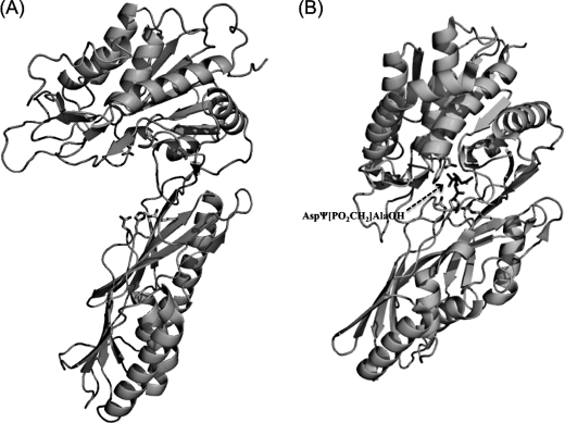 FIGURE 7.