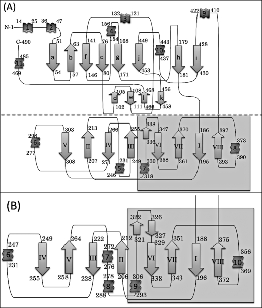 FIGURE 2.