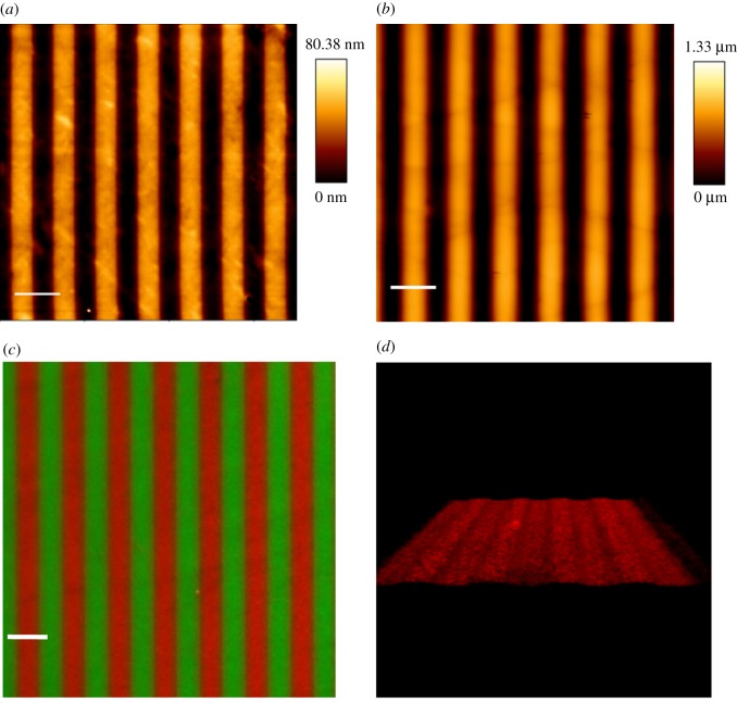 Figure 1.