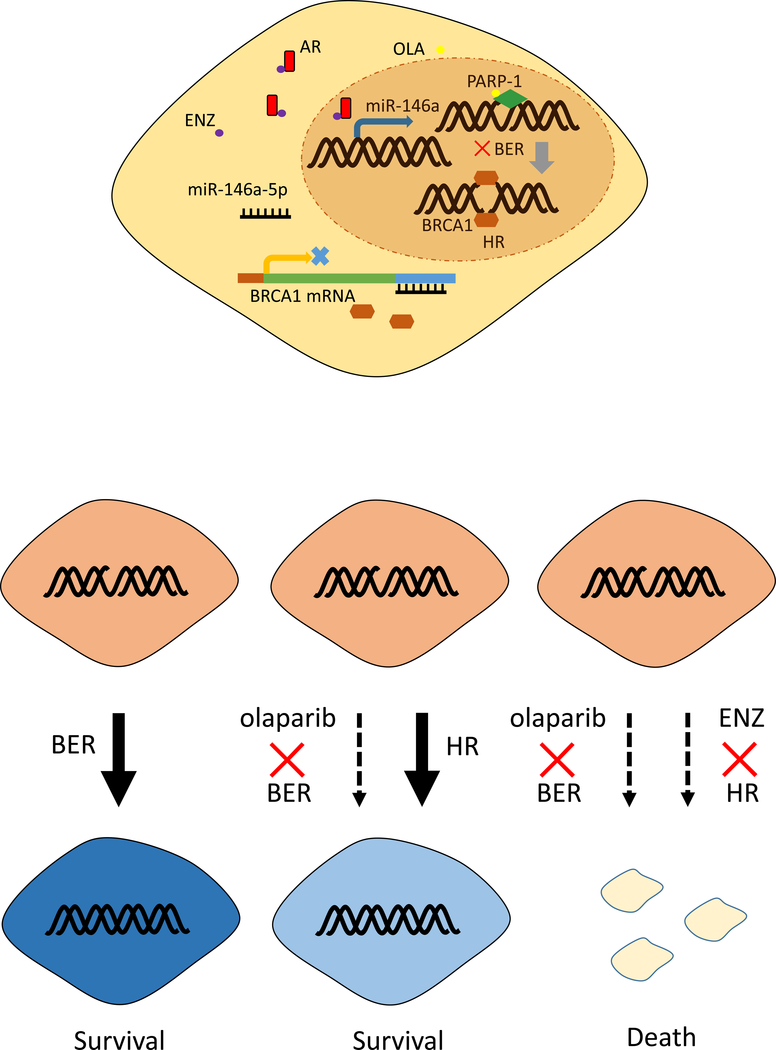 Fig 7.