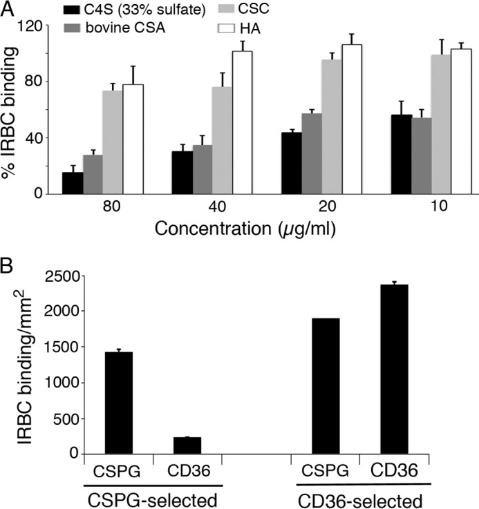 FIGURE 10.