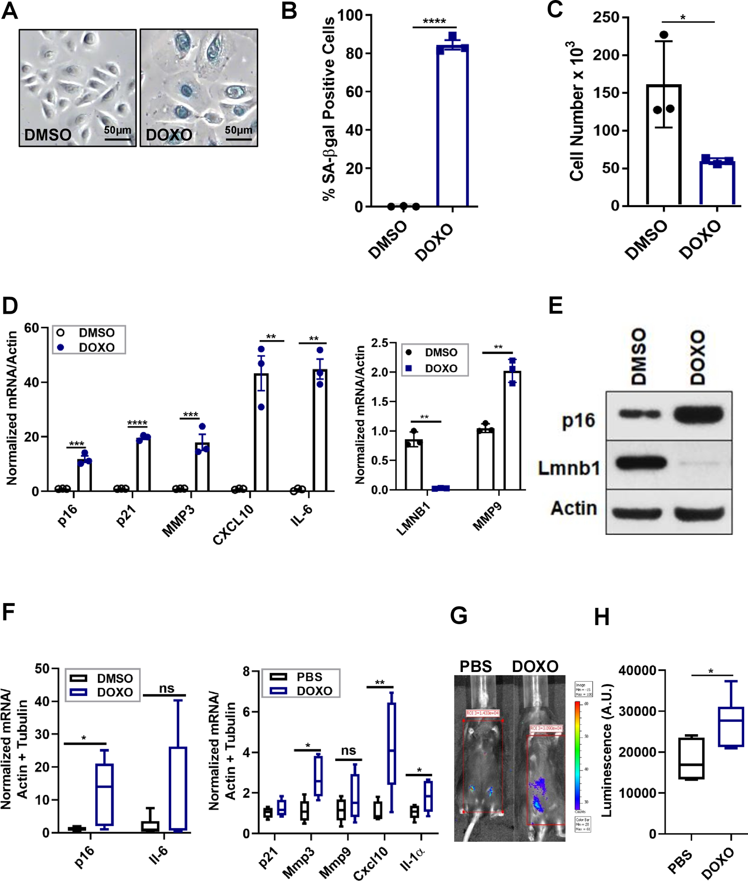 Figure 3: