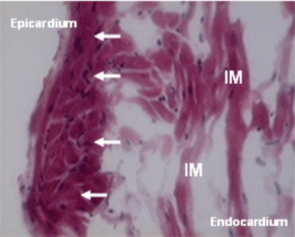 Fig. (4)