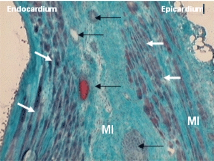 Fig. (3)