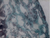 Fig. (5)