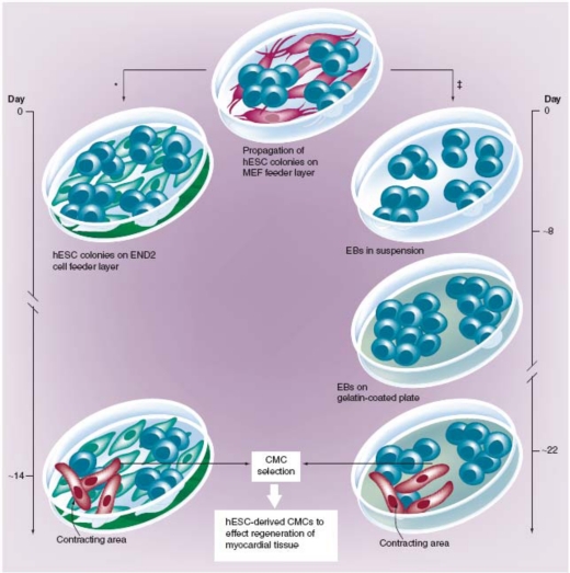 Fig. (1)