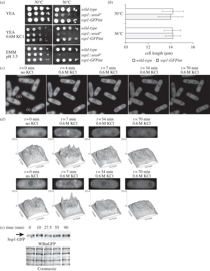 Figure 4.