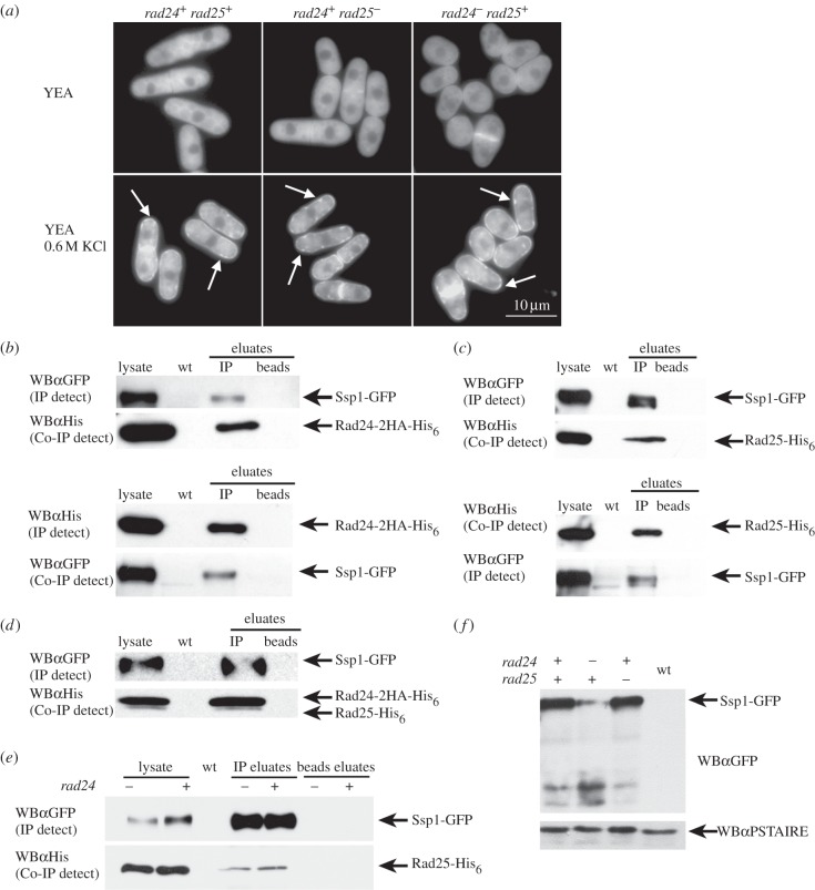 Figure 6.