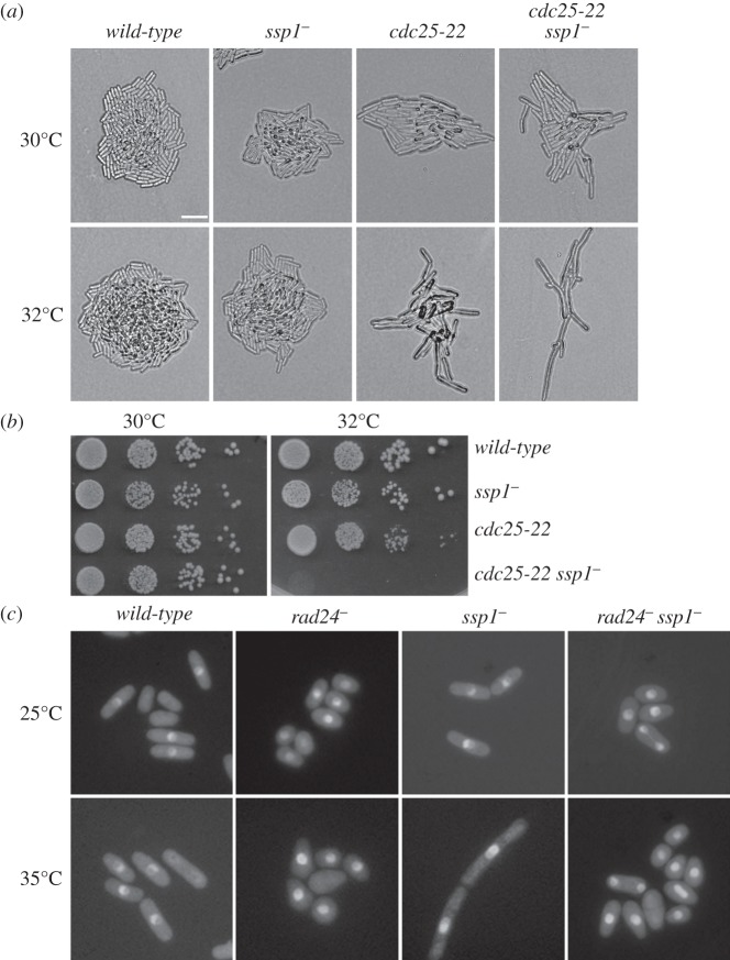 Figure 2.