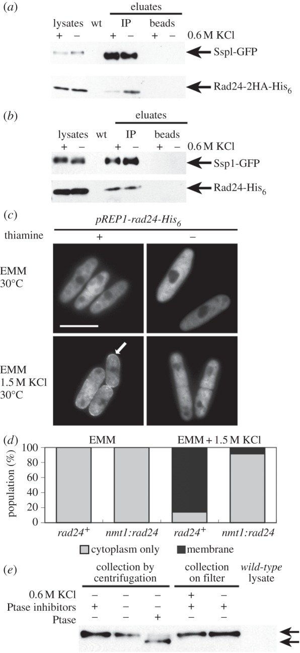 Figure 7.