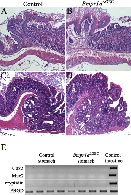 Fig. 9.