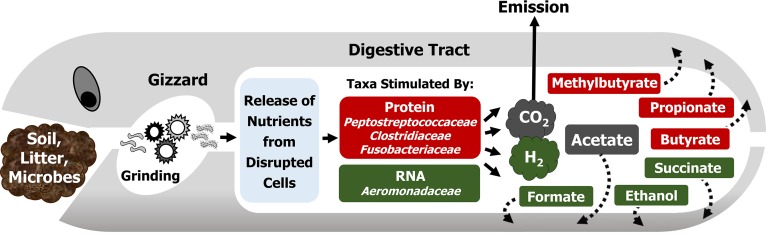 FIG 6