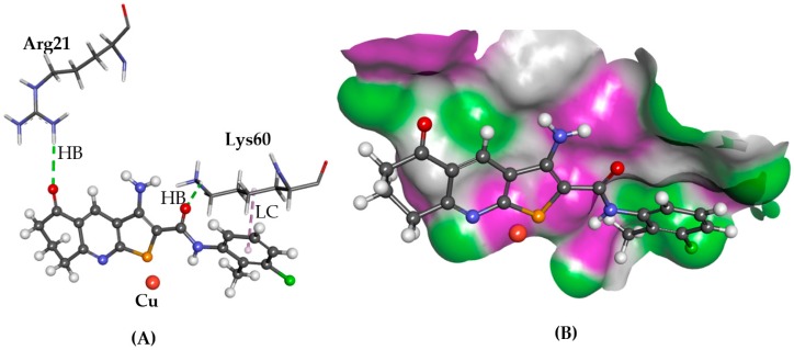 Figure 4