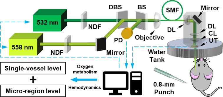 Fig. 1.