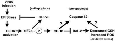 FIG. 8.