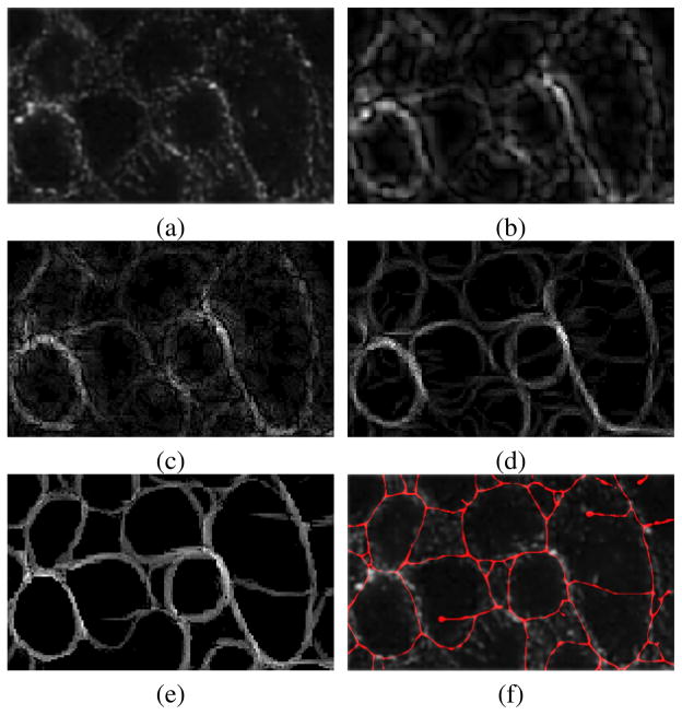 Fig. 8