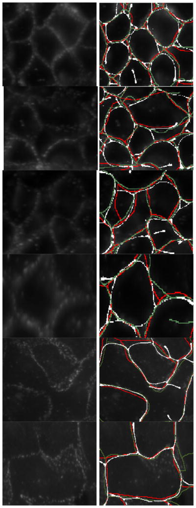 Fig. 17