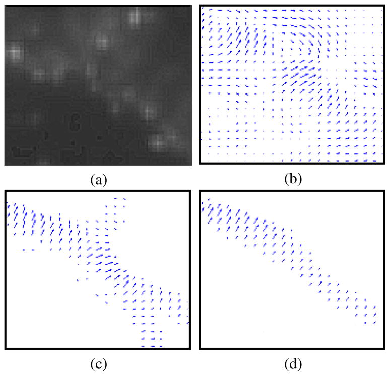 Fig. 10