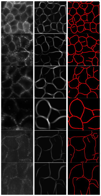 Fig. 16