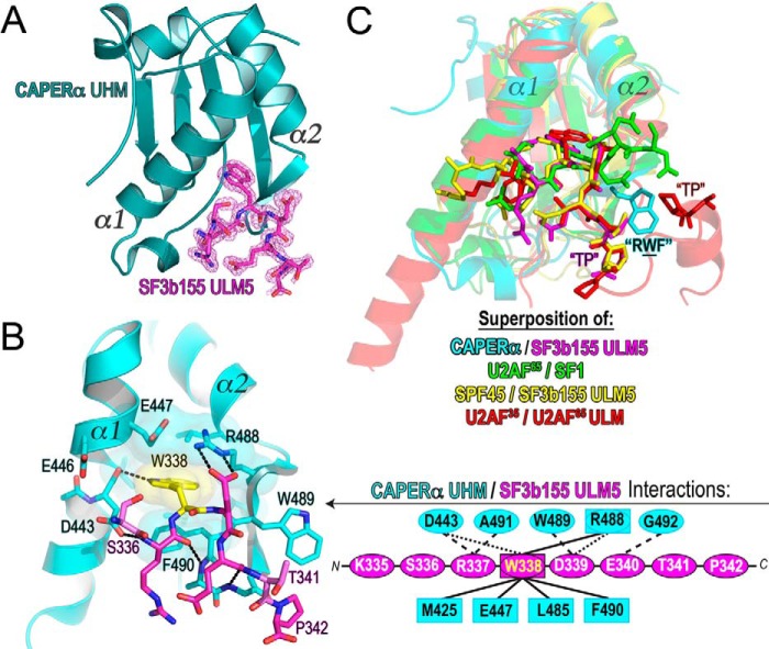 FIGURE 3.