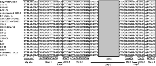 Fig. 1