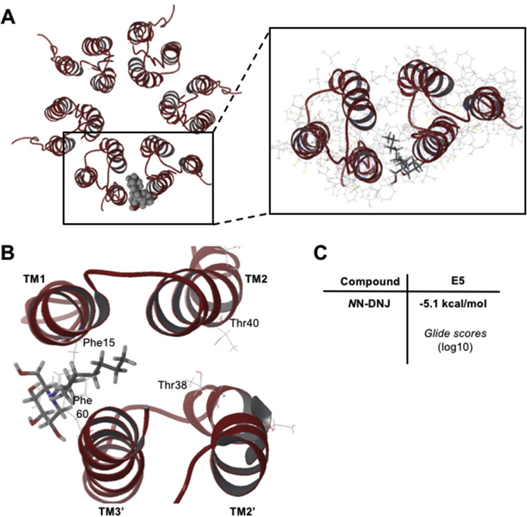 Fig. 3