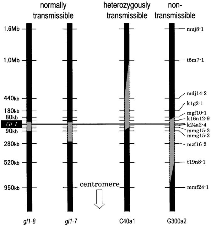 Figure 6.—