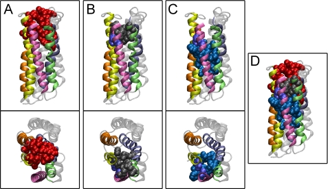 FIGURE 1.