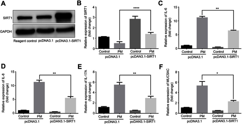 graphic file with name COPD_A_202904_O_SF0001g.jpg