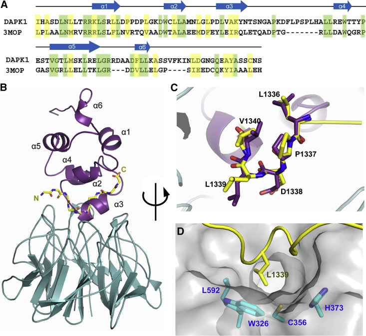 Figure 7