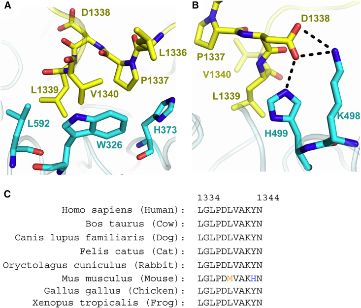 Figure 5