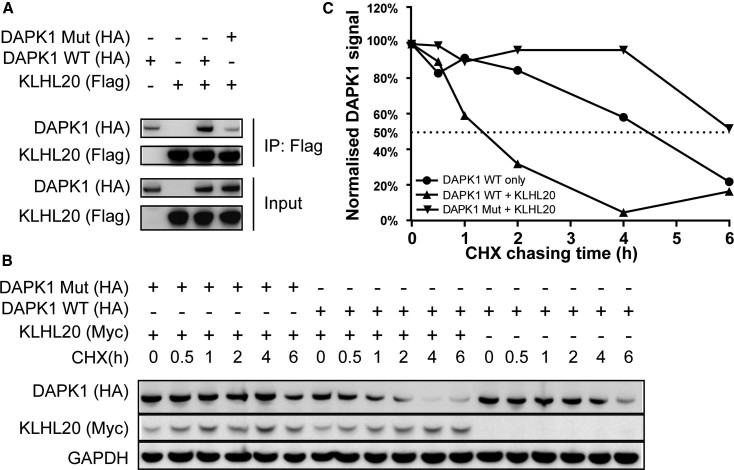 Figure 6