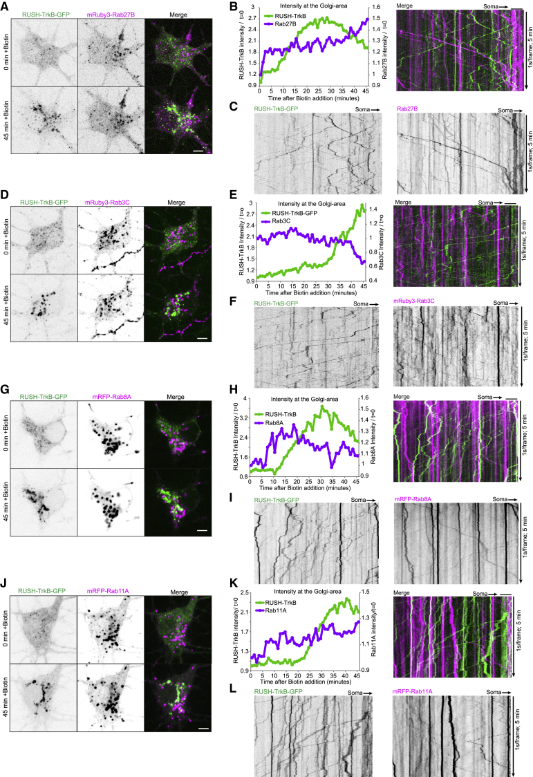 Figure 4