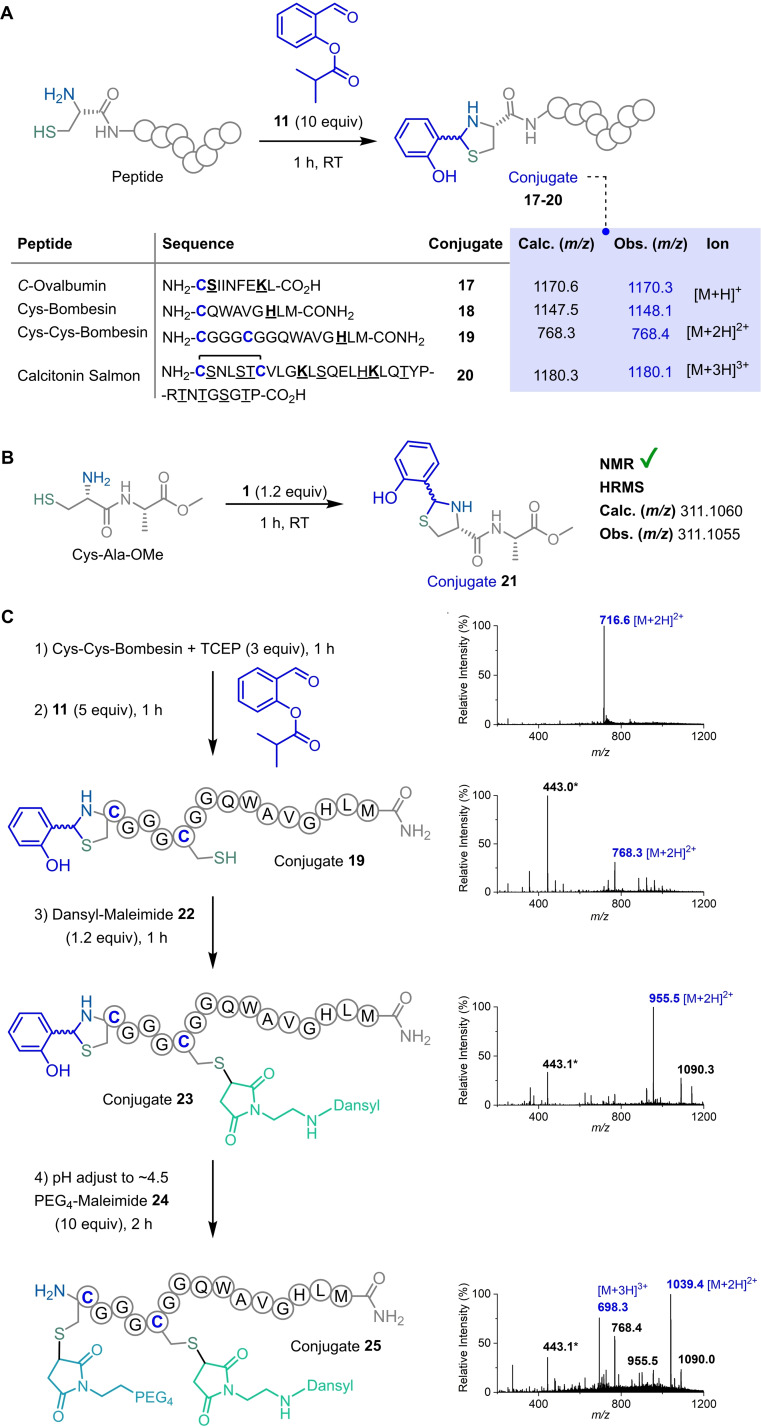 Scheme 6